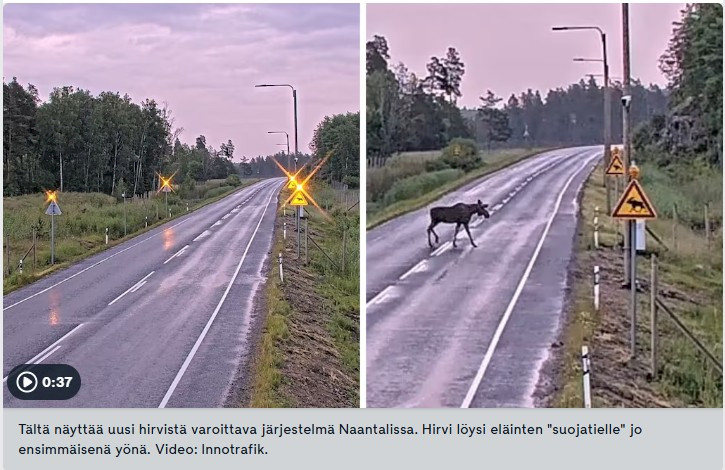 MTV Uutiset: Vähentääkö tämä järjestelmä hirvikolareita? Naantalin "suojatie" varoitti jo ensimmäisenä yönä